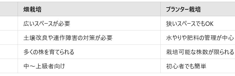 【1】畑とプランター、どちらで始めるべき？初心者のためのイチゴ栽培 