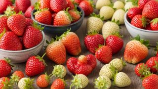 いちごの品種を知ろう！あなたにぴったりのいちごはどれ？ 