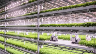 日本の植物工場の歴史と現状：企業の挑戦と未来展望 